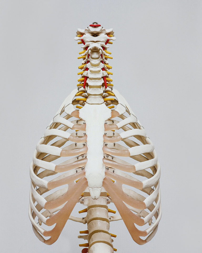 Sticks Stones Diagram